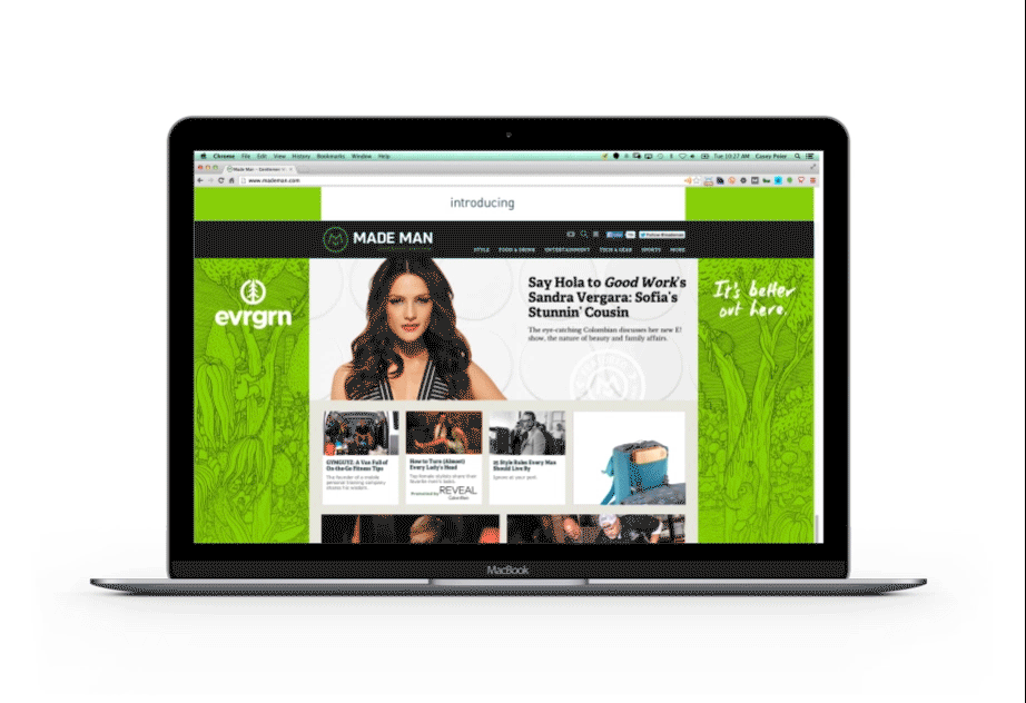evgrn_web_macbook