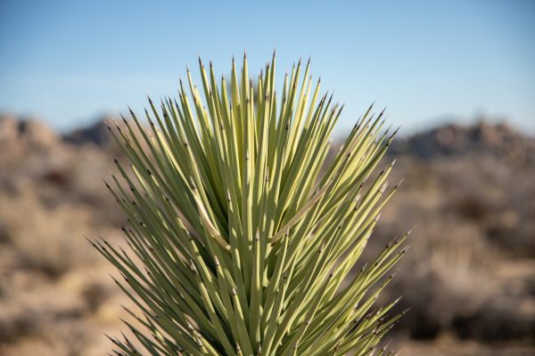 Content_Team_012220_620